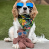 Spunky Pup Organic Cotton Bear
