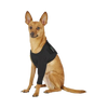 Suitical Recovery Sleeve for Dogs - Black