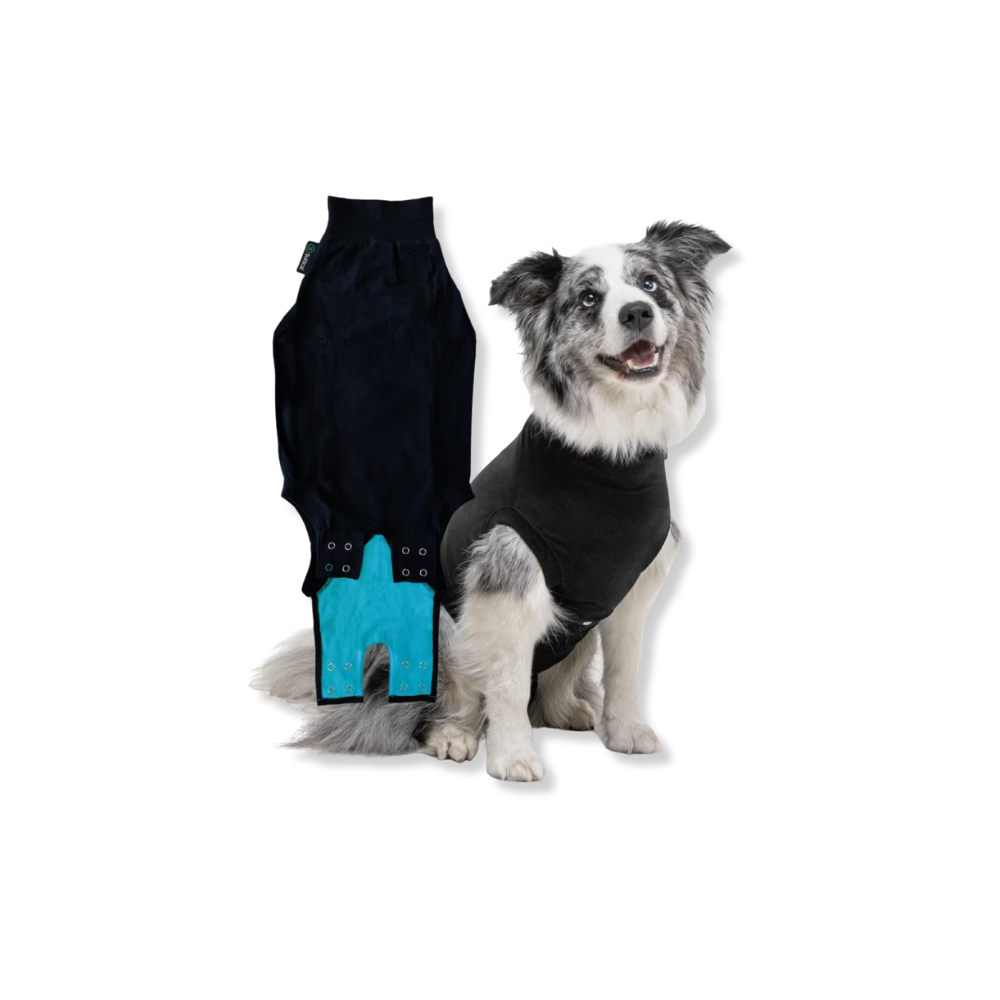 Suitical Recovery Suit for Dogs - Black