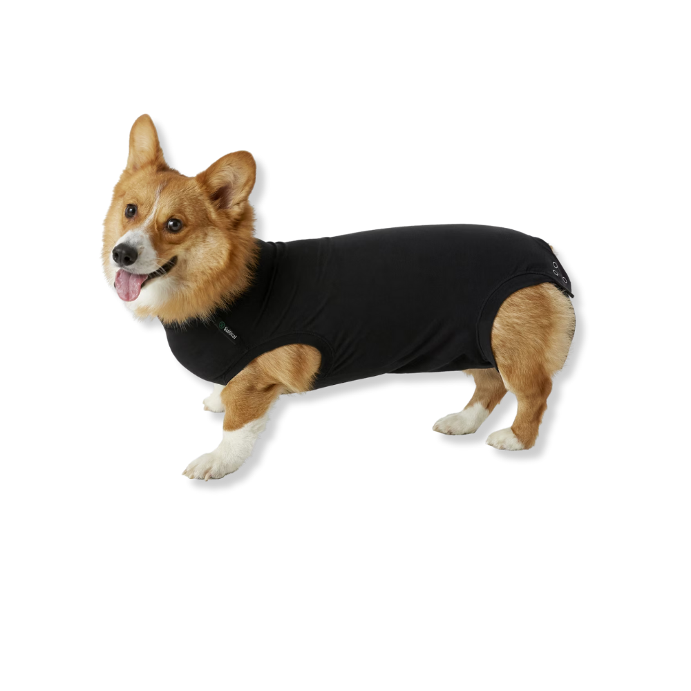 Suitical Recovery Suit for Dogs - Black