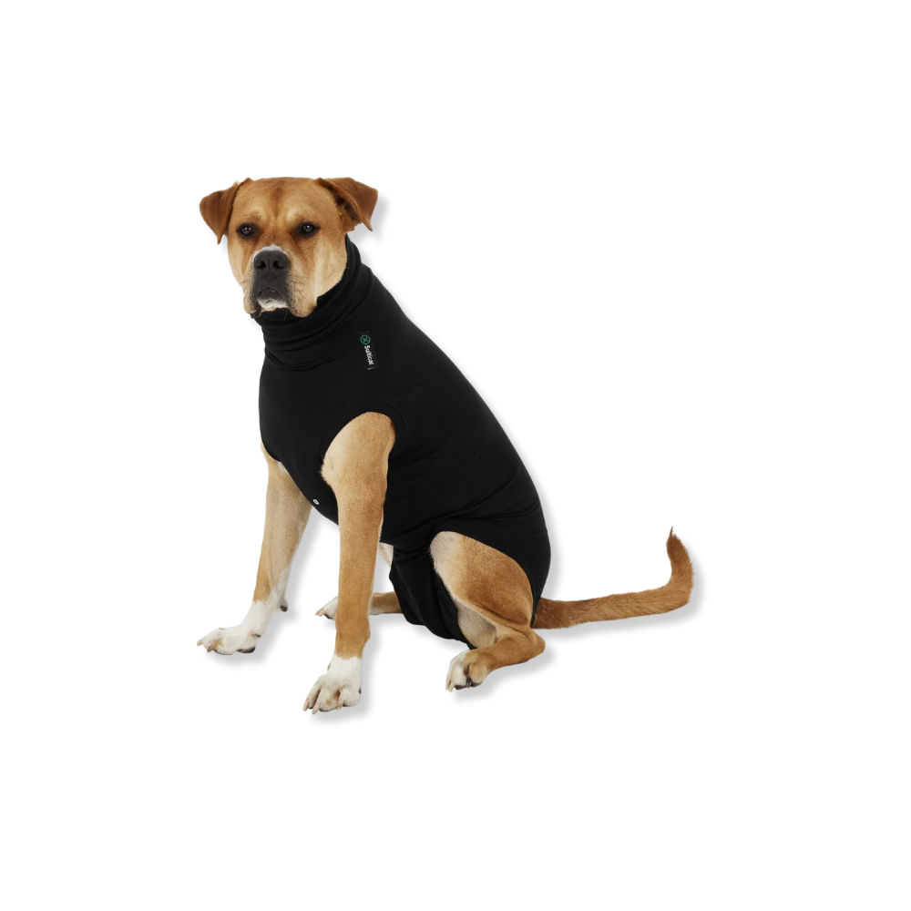 Suitical Recovery Suit for Dogs - Black