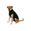 Suitical Recovery Suit for Dogs - Black