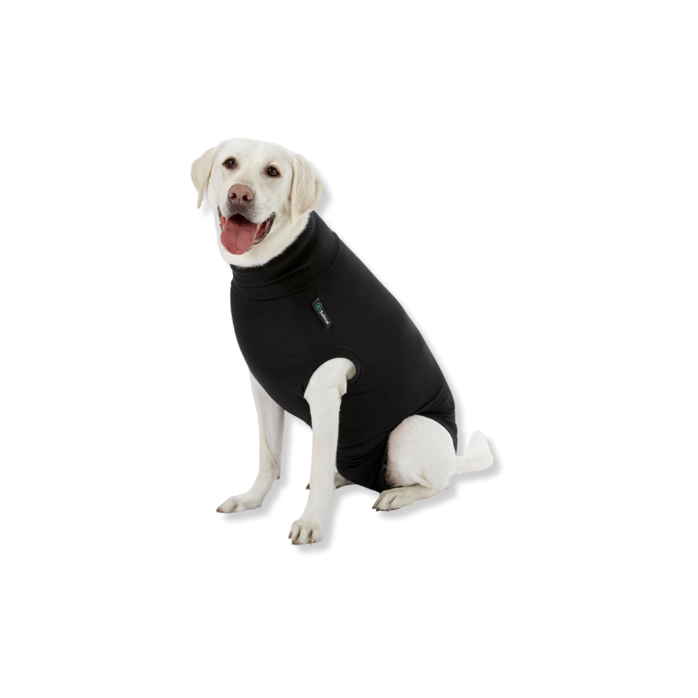Suitical Recovery Suit for Dogs - Black