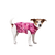 Suitical Recovery Suit for Dogs - Pink Camo