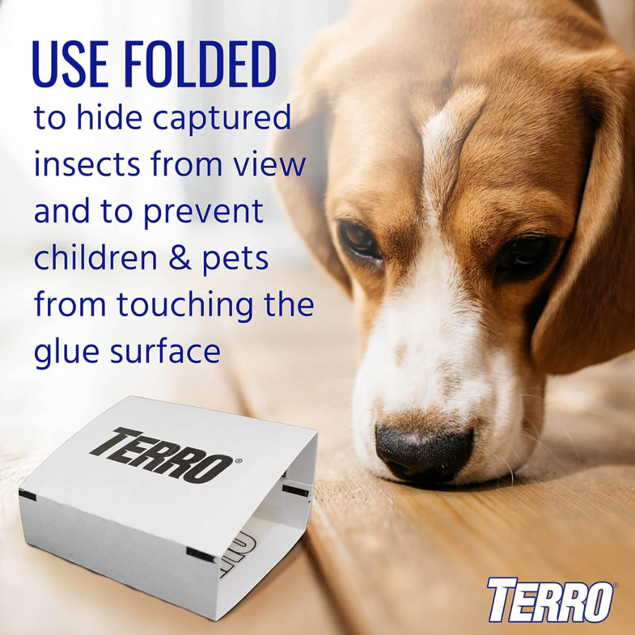 Terro Spider and Insect Trap