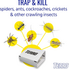 Terro Spider and Insect Trap
