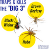 Terro Spider and Insect Trap