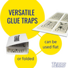 Terro Spider and Insect Trap