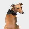 Canada Pooch Mesh Harness - Black