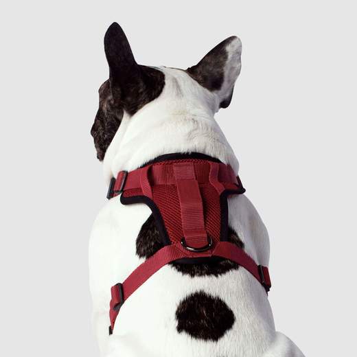Canada Pooch Everything Harness Mesh - Red