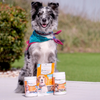 ThunderWunder Calming Soft Chews - 60 Count