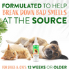 TropiClean Deodorizing Spray Papaya Mist - 8 oz