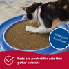 Turbo Scratcher Replacement Scratch Pad - 1 Pack