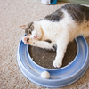 Turbo Scratcher Replacement Scratch Pad - 1 Pack