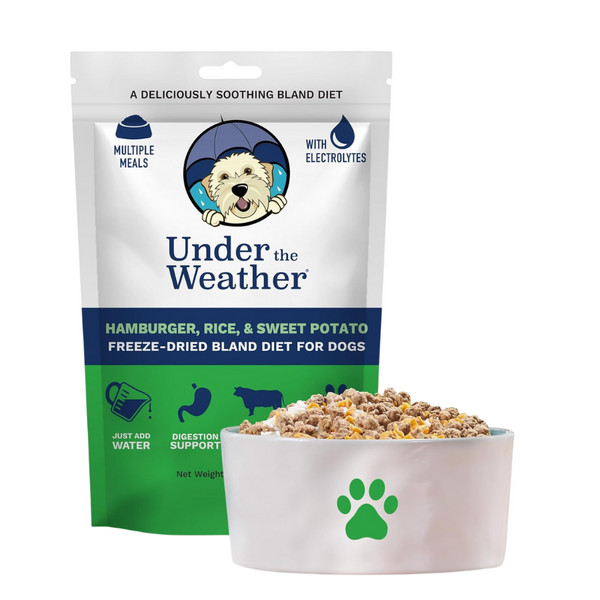 What is Bland Food for Raw Diet Dog: Ultimate Guide to Gentle Nutrition