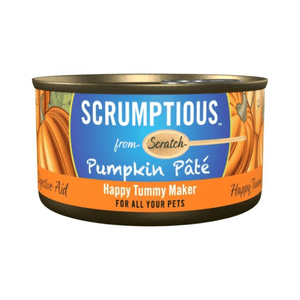 Scrumptious Pumpkin Pate