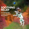 Vet's Best Aches and Pains for Dogs - 50 Tablets