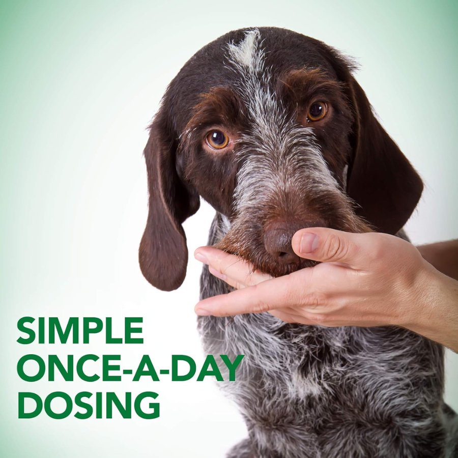 Vet's Best Probiotic Soft Chews for Dogs - 30 Chews