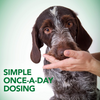 Vet's Best Probiotic Soft Chews for Dogs - 30 Chews