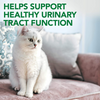 Vet's Best Urinary Tract Support - 60 Tabs