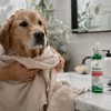 Vet's Best Allergy Itch Relief Spray - 8 oz