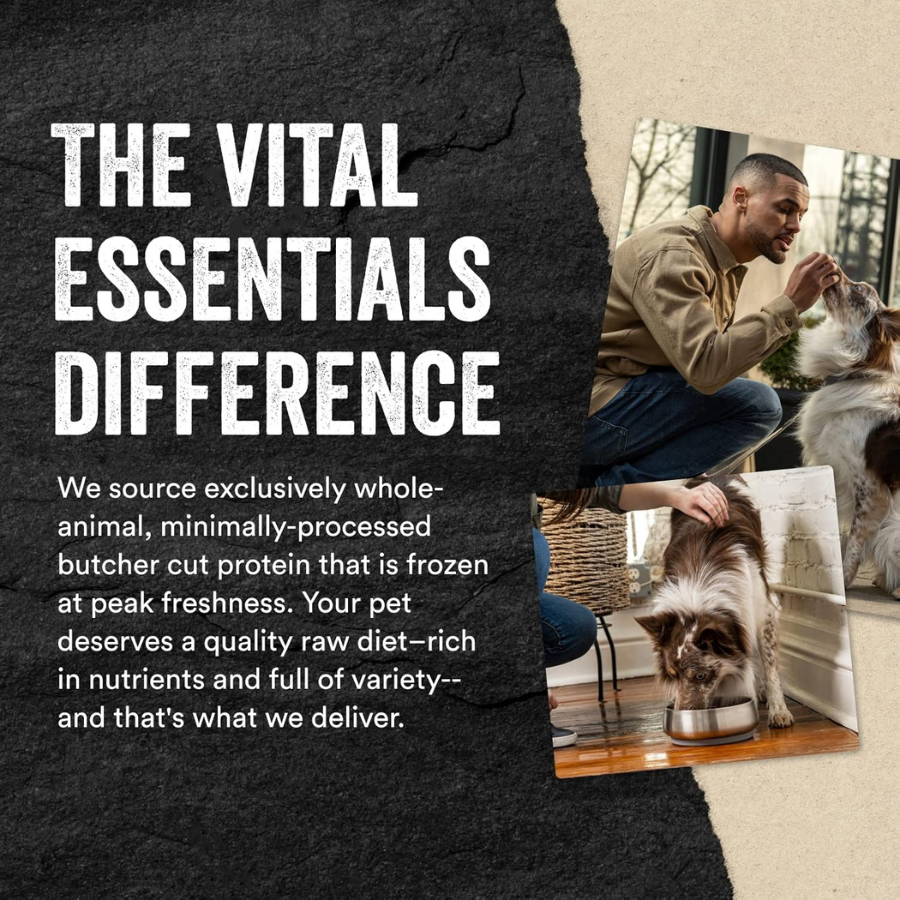 Vital Essentials Freeze Dried Minnows - 2.5 oz