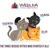 Weruva Cats in the Kitchen Variety Pack - 3.2 oz (12 Pack)
