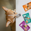 Weruva Dogs in the Kitchen Pouch Party Variety Pack - 12/2.8 oz Pouches