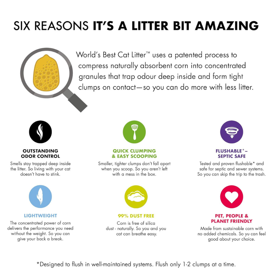 World's Best Picky Cat Litter