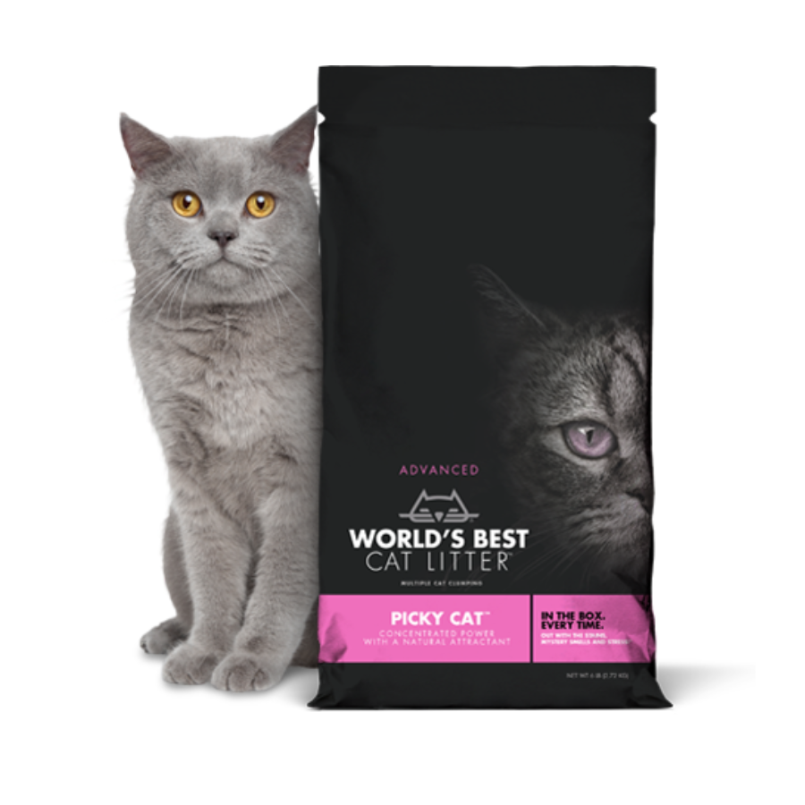World's Best Picky Cat Litter