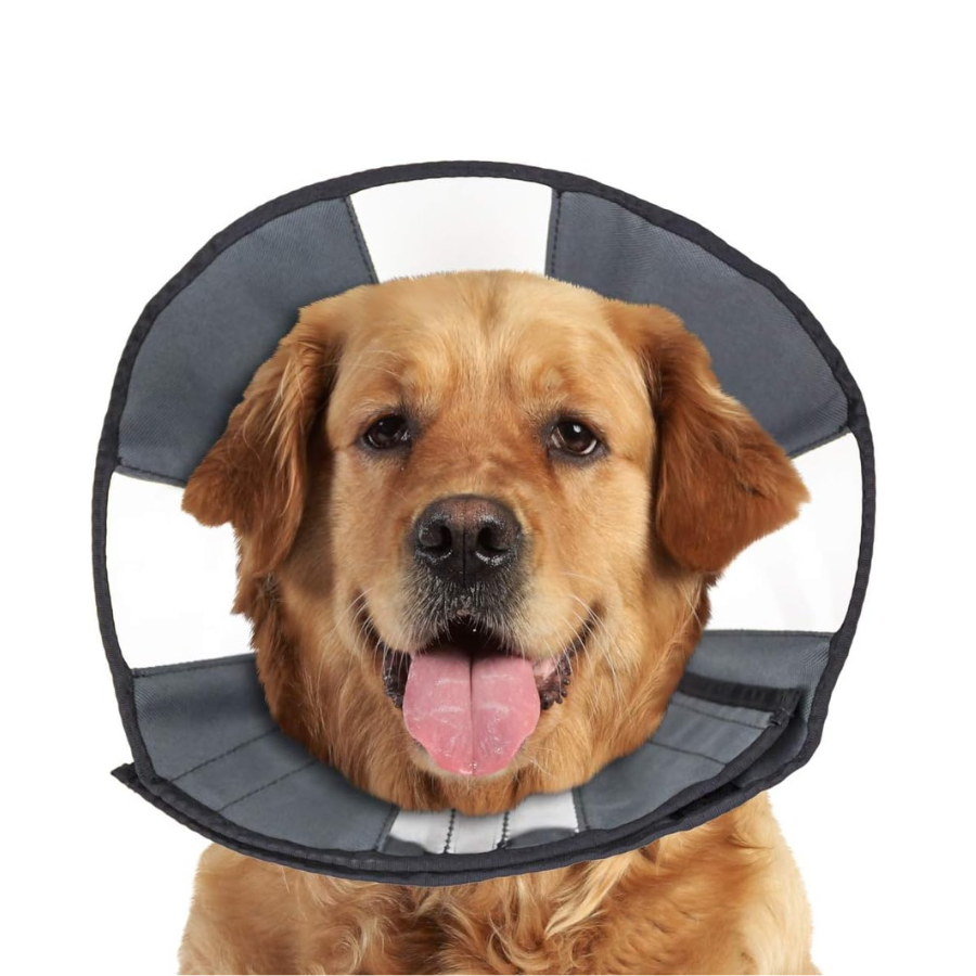 ZenDog ZenCone