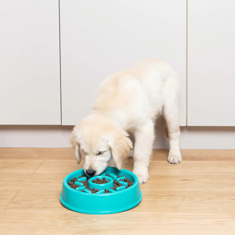 ZippyPaws Slow Feeder Donut Bowl