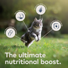 Ziwi Peak Air Dried Mackerel and Lamb Recipe for Cats - 2.2 lbs
