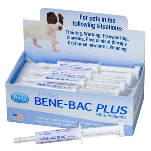 PetAg Bene-Bac Plus Pet Gel - 1 Tube
