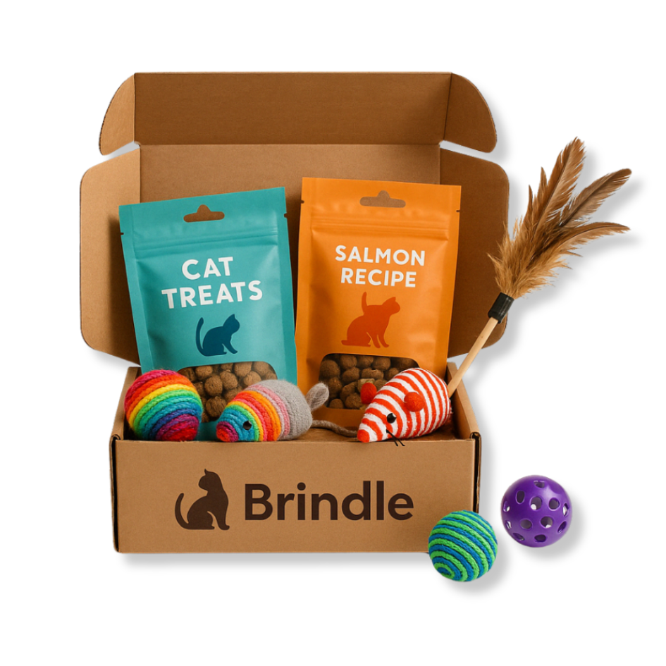 Brindle Box for Cats