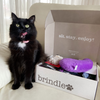 Brindle Box for Cats