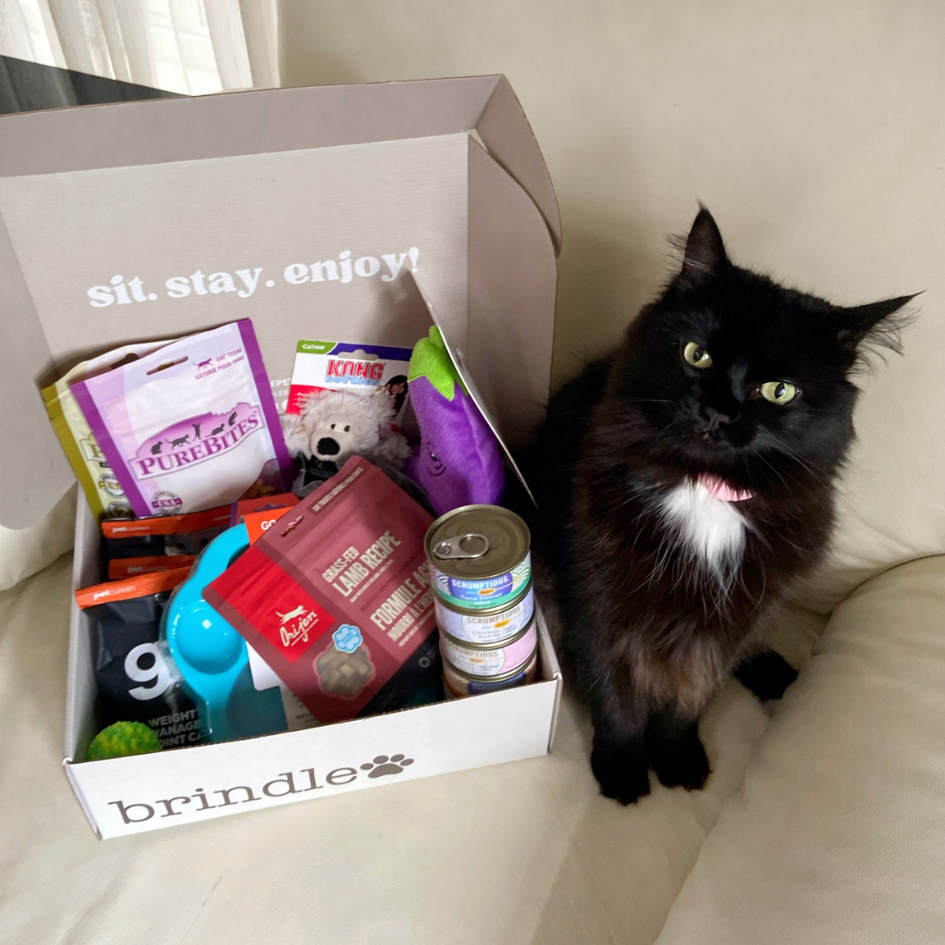 Brindle Box for Cats