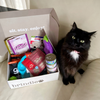 Brindle Box for Cats