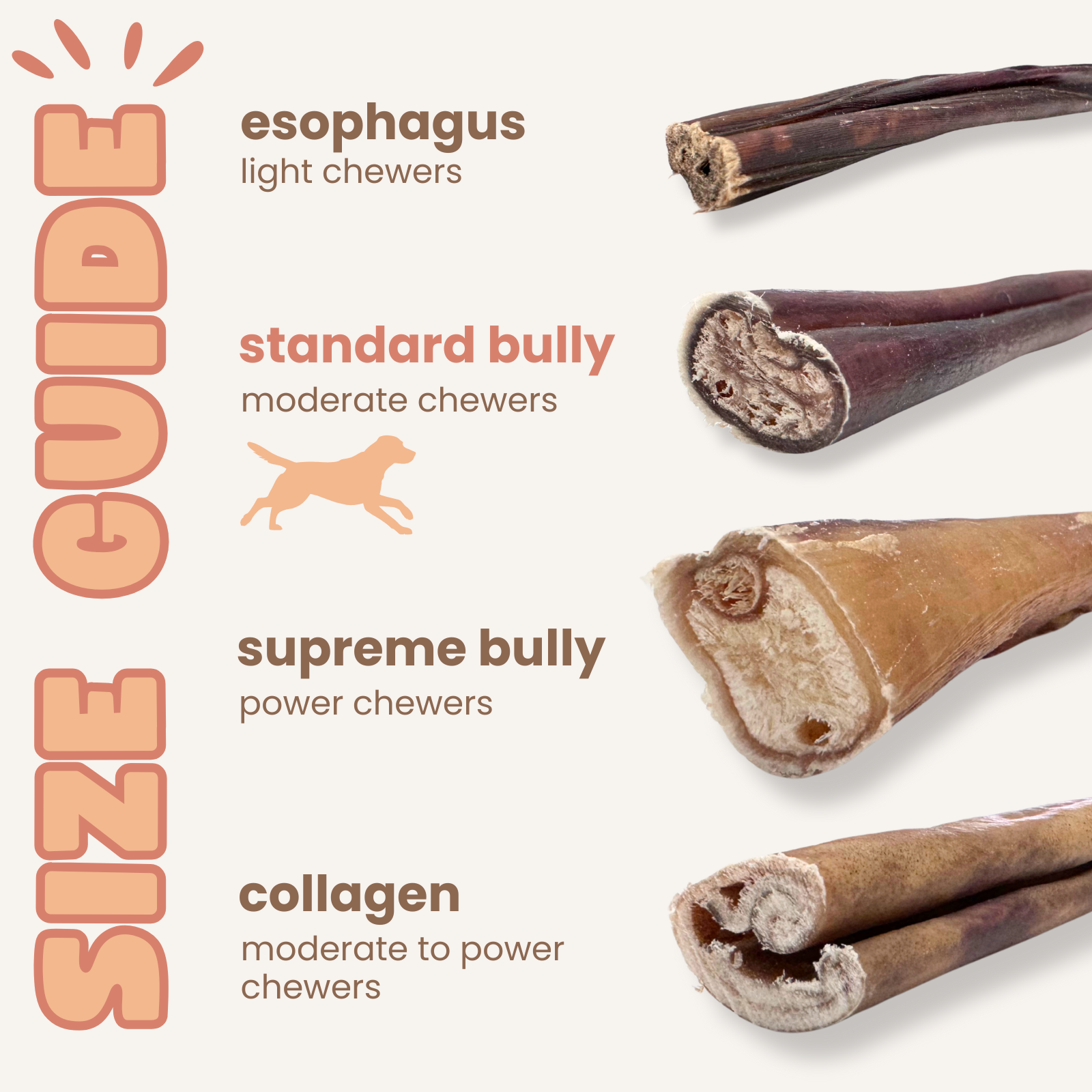 Purely Paws Beef Bully Sticks - Standard