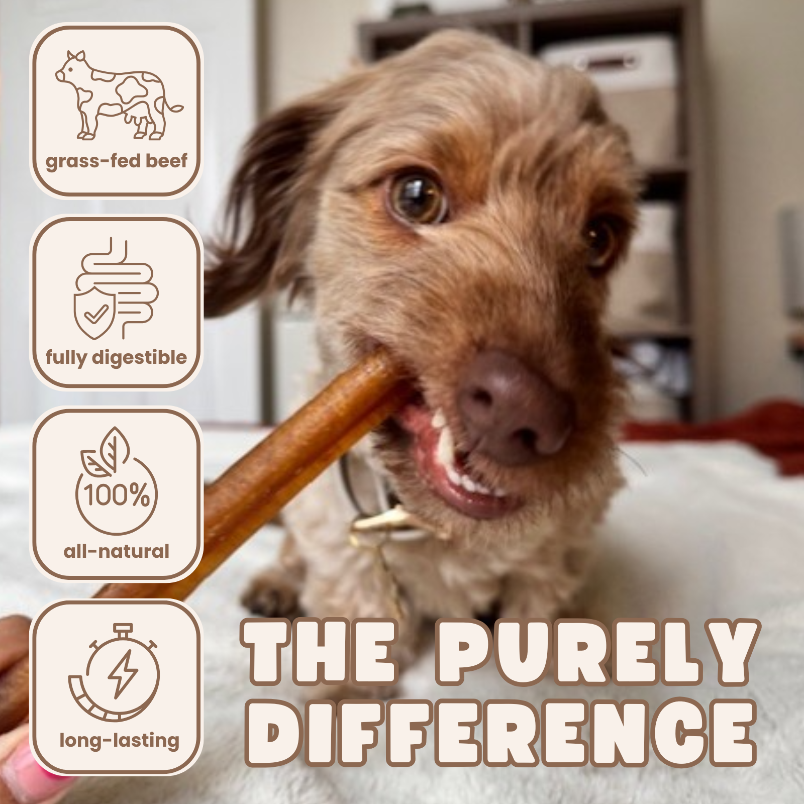 Purely Paws Beef Bully Sticks - Supreme