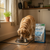 Canada Fresh Lamb Dog Food - 6 lbs