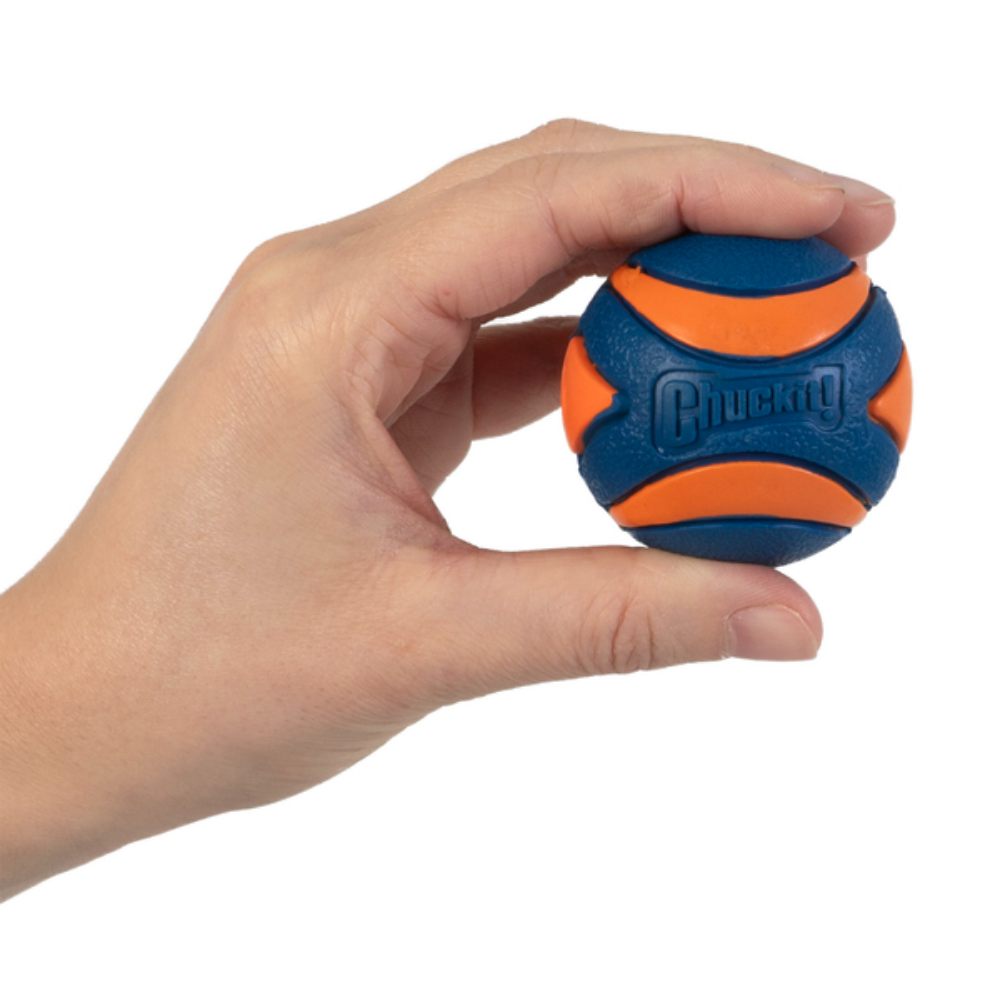 Chuckit! Ultra Squeaker Ball