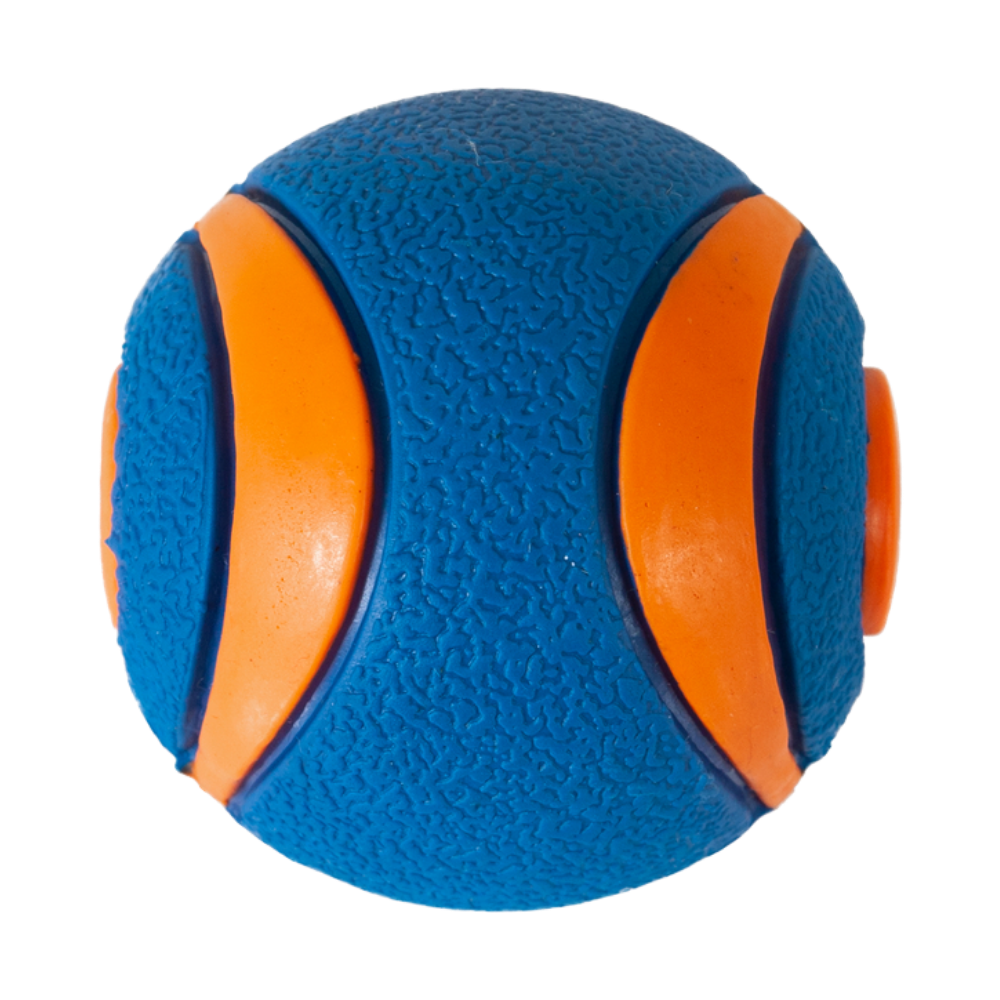 Chuckit! Ultra Squeaker Ball