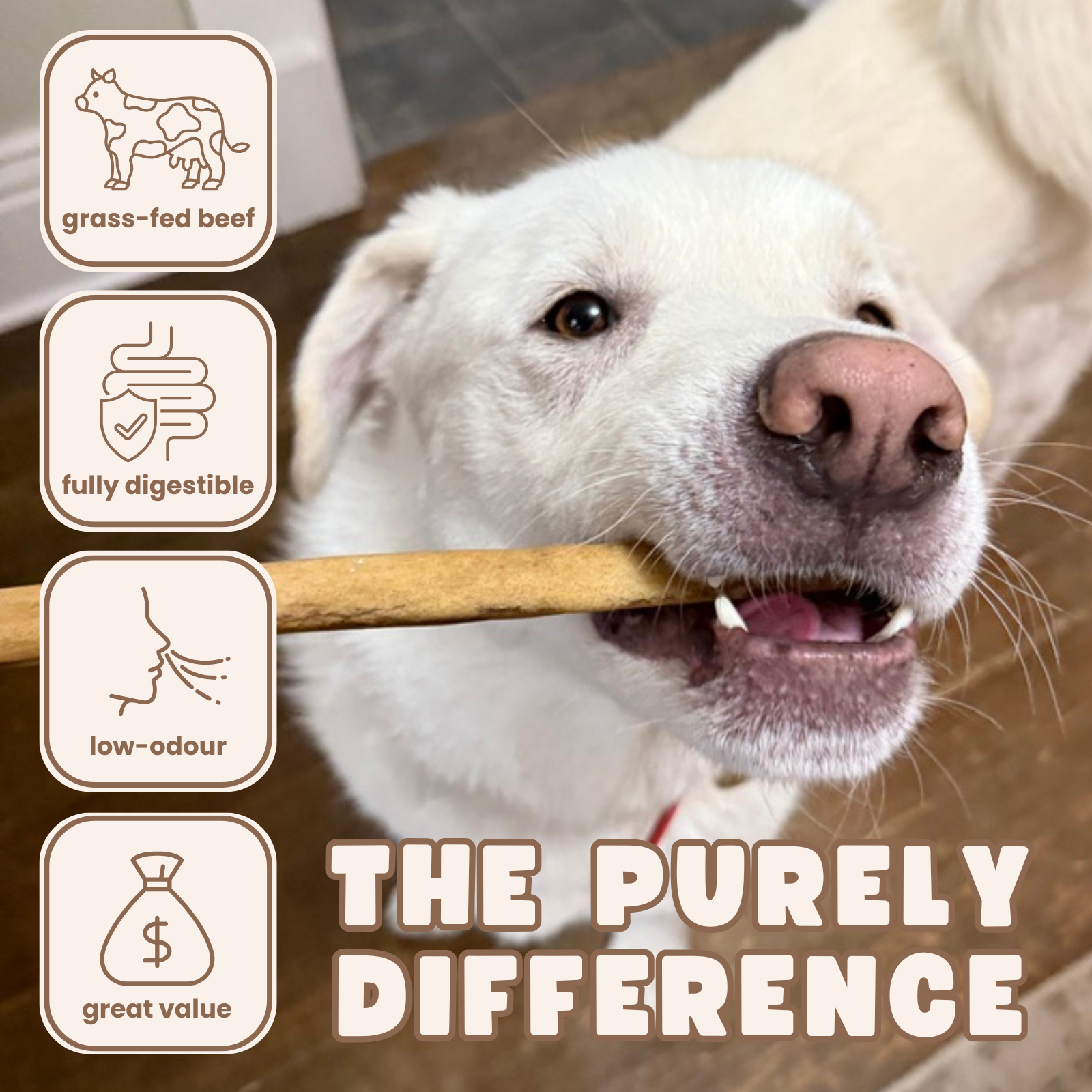 Purely Paws Collagen Sticks - 12"