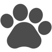Brindle Pet Supplies logo