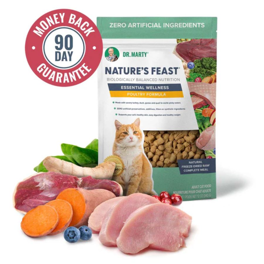 Dr. Marty Cat Food Poultry Recipe Brindle Pet Supplies