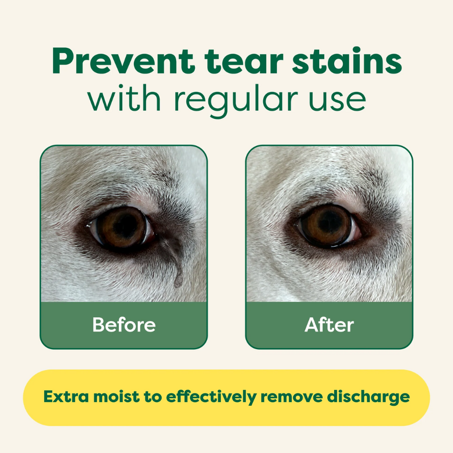 Earth Rated Pet Eye Wipes - 60 Count
