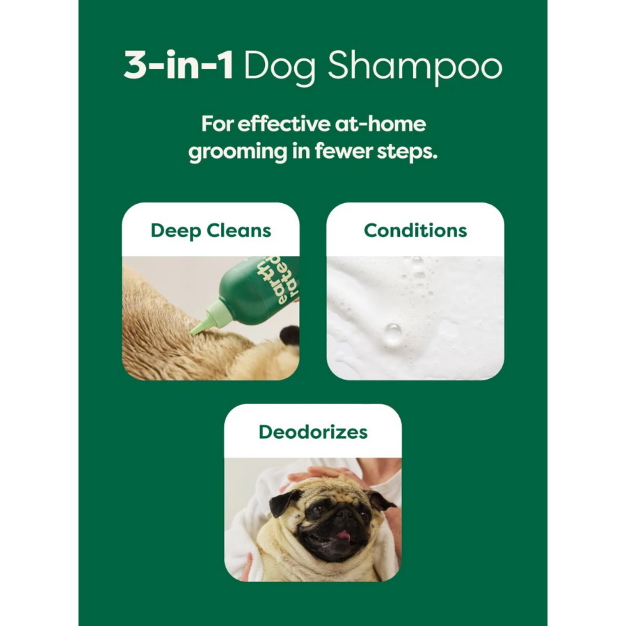 Earth Rated Shampoo Short Coat White Tea and Basil - 16 oz