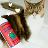 earthbath 2-in-1 Shampoo and Conditioner for Cats - Wild Cherry 16 oz