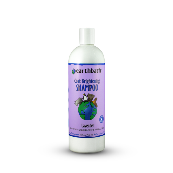 earthbath Coat Brightening Shampoo Lavender for Dogs - 16 oz